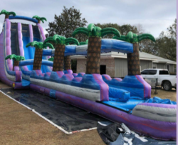 29ft Purple Crest Dual Lane 2 Piece