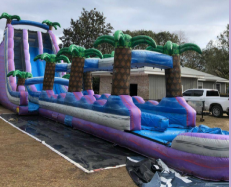 29ft Purple Crest Dual Lane 2 Piece